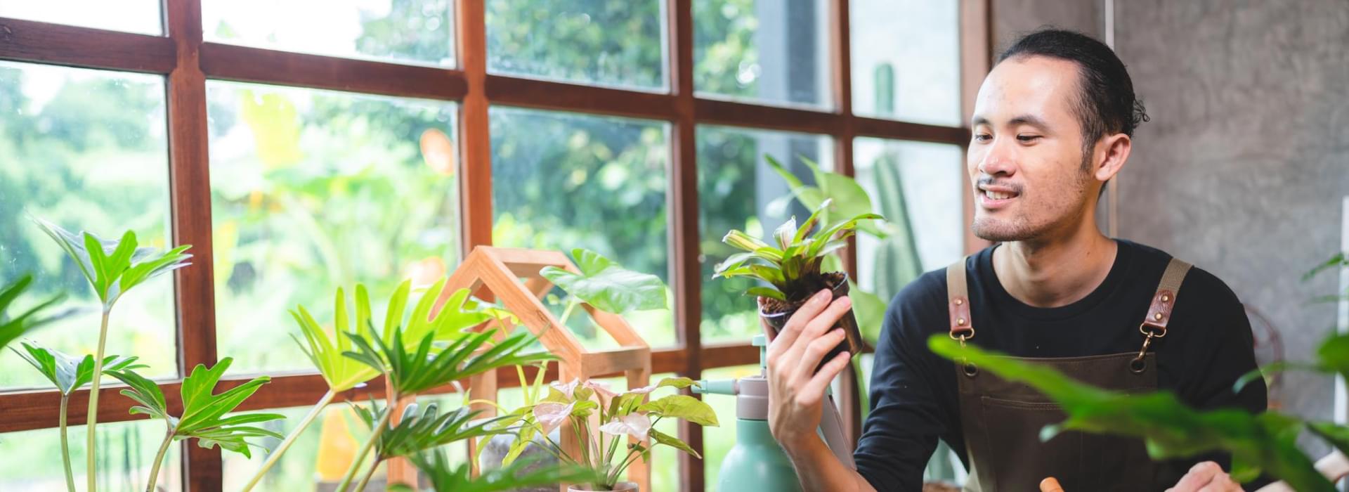 Colourful-Plants - Image 3